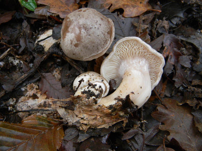 Alcuni ritrovamenti del 21.12.2010.